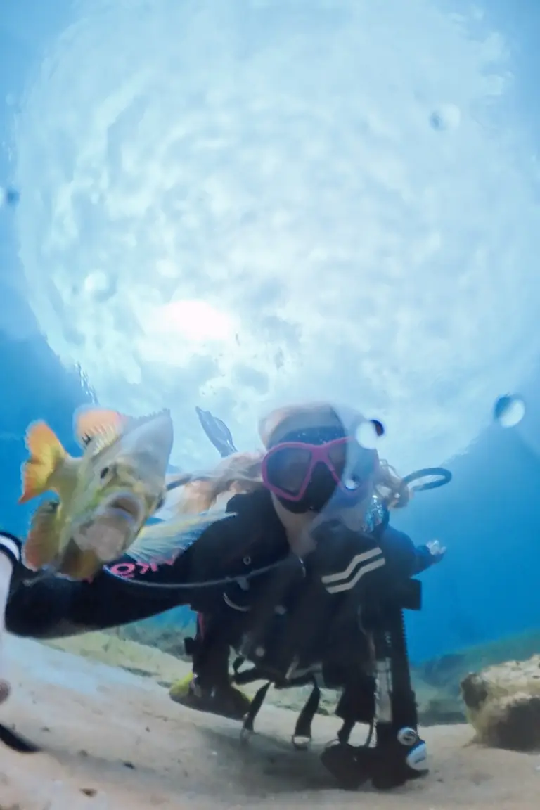 SCUBA diver swimming with fish during a Rainbow River drift dive.