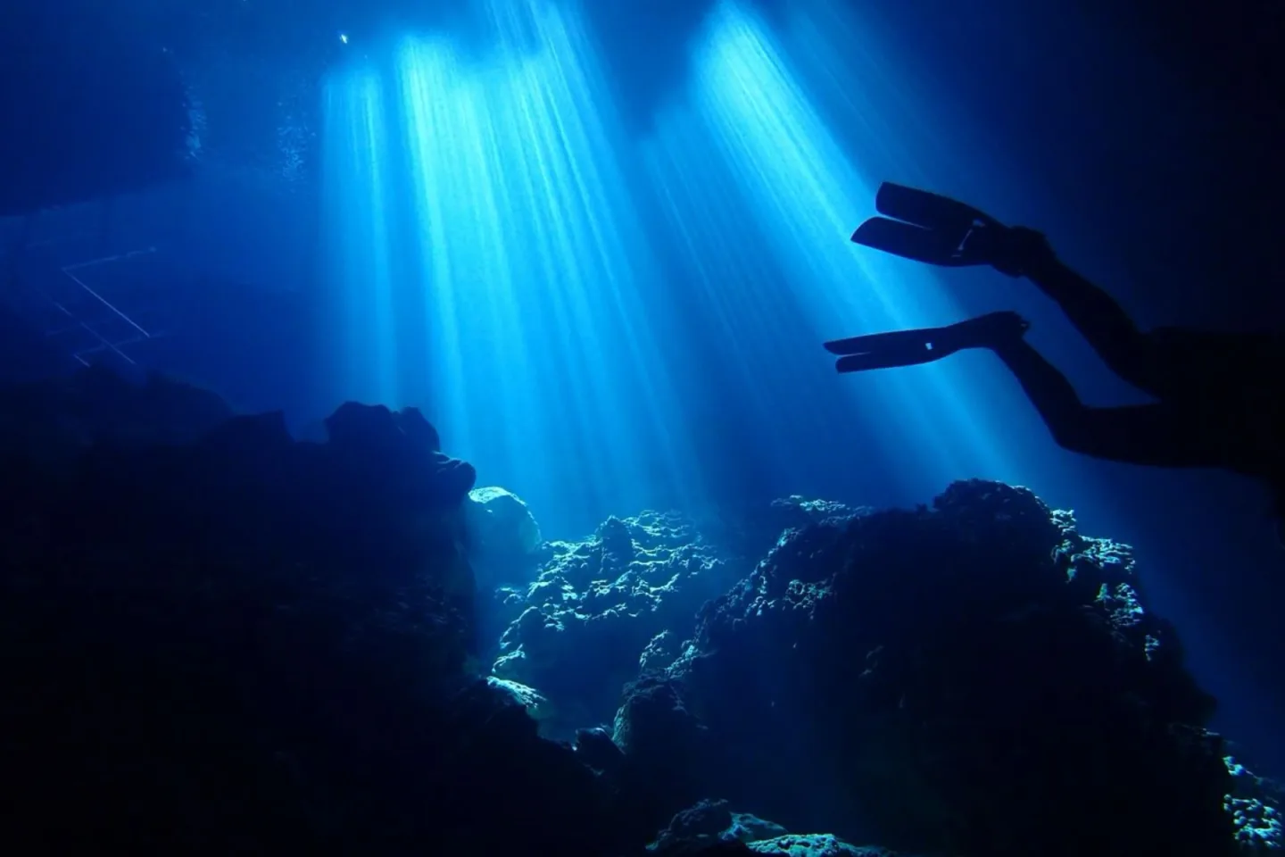 SCUBA diver silhouetted beneath rays of sunlight underwater.