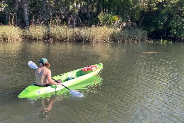 Guest paddling a clear-bottom kayak near a manatee in the canal.