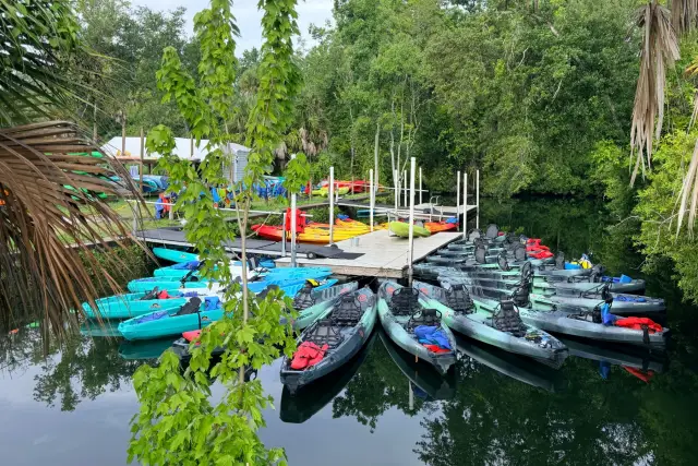 Rental kayaks gathered around the canal dock at Crystal River Kayak Company & Dive Center.