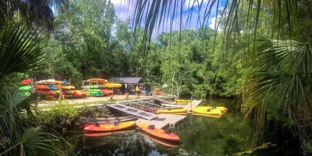 Rows of colorful rental kayaks beneath palm trees at Crystal River Kayak Company & Dive Center.