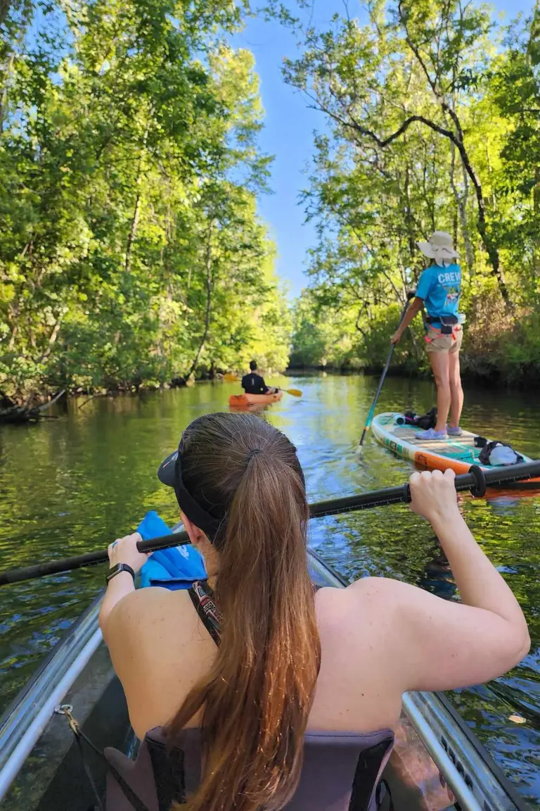 Paddlers moving through a narrow tree-lined canal.
