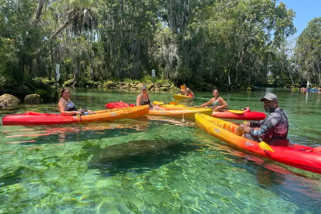 Kayakers paddling together through clear water at Three Sisters Springs.