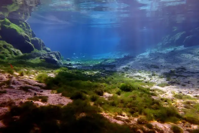Sunlight filtering through clear spring water onto underwater grass.