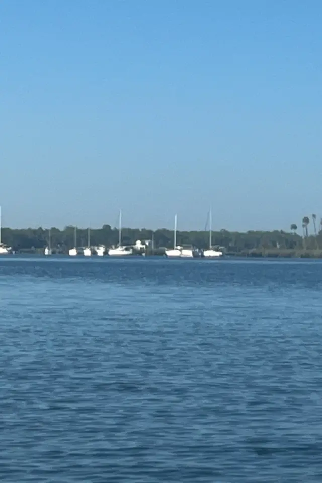 Sailboats moored across the open water of Kings Bay.
