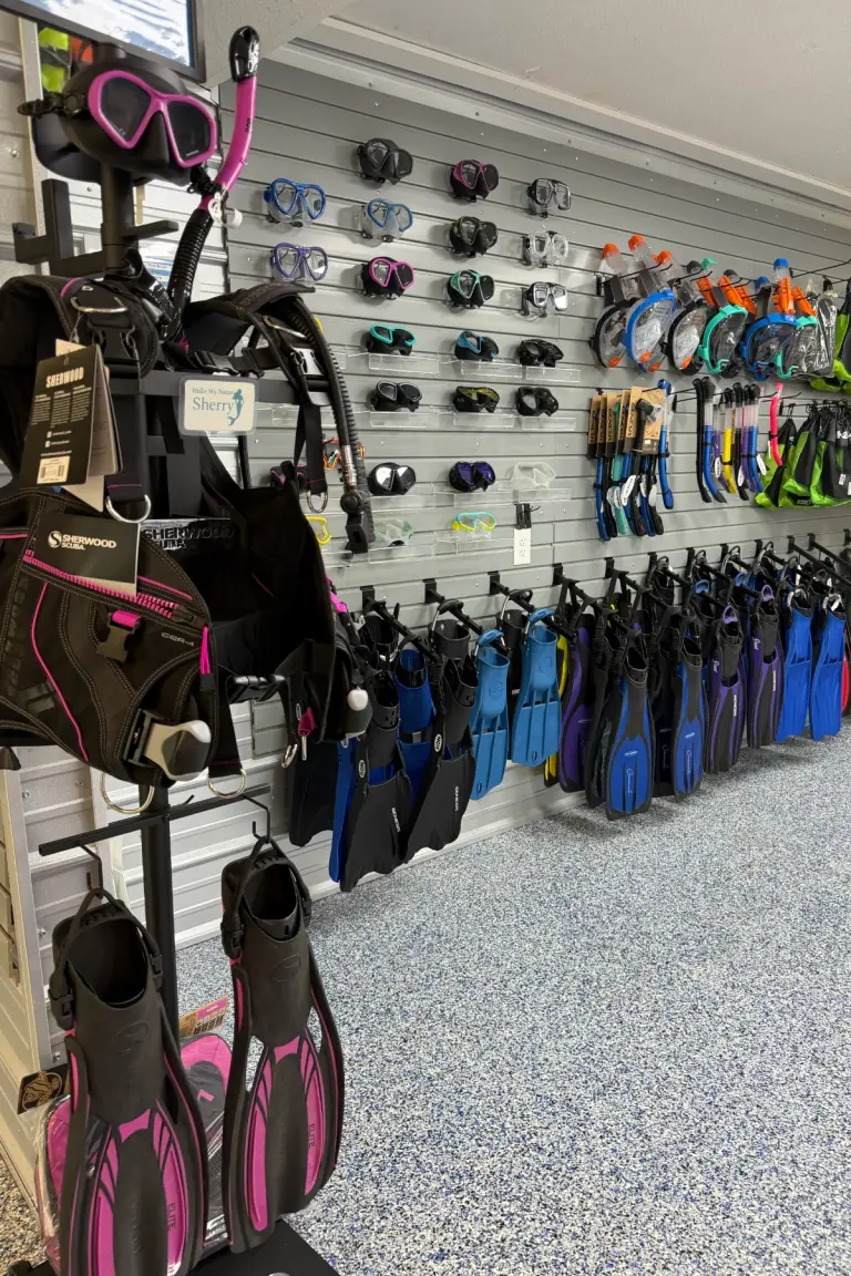 Dive equipment display with masks, snorkels, fins, and buoyancy compensators.