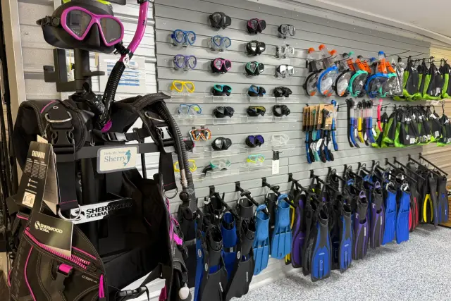 Masks, snorkels, fins, and dive equipment displayed inside the Dive Center.